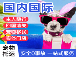 韶关航空快运国际宠物托运 【国